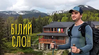 Білий слон Ґаджина - гірська хатина в Карпатах 🏔 Хребет Косарище - Степанський - Красник #3