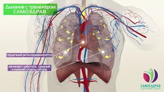 Принцип действия дыхательного тренажёра Самоздрав
