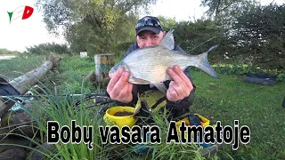 Bobų vasara Atmatoje