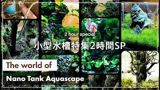 To the world of nano tank aquascape / Lofi & Chill Beats/aquascape/aquarium/vlog/