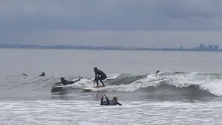 Surfing One long crowded wave at surfrider Malibu