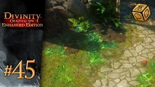 Blood bees and evil-smelling flowers - Let's Play Divinity: Original Sin - Enhanced Edition #45