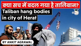 Taliban hang bodies of alleged kidnappers in Afghanistan's Herat city | Spread of extremism UPSC