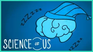 How Your Feet Help You Sleep: "The Science of Us" Episode 1