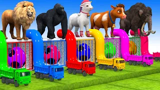 5 Giant Duck, Monkey, Piglet, chicken, dog, cat, cow, Sheep, Transfiguration funny animal 2023