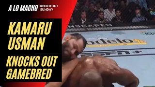 KAMARU USMAN DESTROYS JORGE MASVIDAL AT UFC 261 — FAN POV