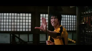 bruce lee.A tribute To the Immortal Dragon.R.I.P