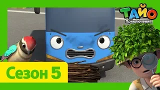 мультфильм для детей l Тайо Новый 5 сезон l #7 Пернатый друг Тайо! l Приключения Тайо