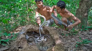 Hunting Biggest Snake Egg Soup Cooking Recipe Eating Delicious in Forest