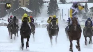 White Turf of St.Moritz - Focus on the Gubelin race
