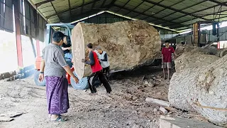 The process of making solid trembesi wood boards 3cm thick!! Sawmill sawn cupboard material