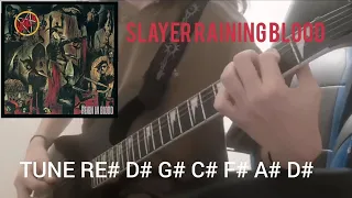 Raining Blood (Slayer) cover by MrSnipezVK