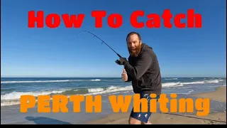 HOW to catch WHITING on PERTH beaches