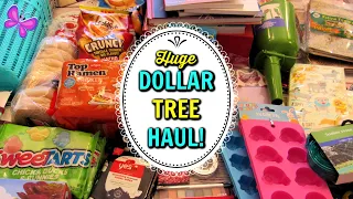 HUGE DOLLAR TREE HAUL | February 28, 2020 | LeighsHome