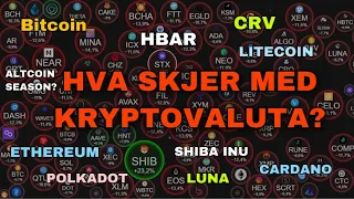 Hele markdet faller! Hva skjer? Vi ser på markedet og noen populære altcoins!