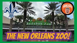 Audubon Zoo New Orleans 01-12-2022