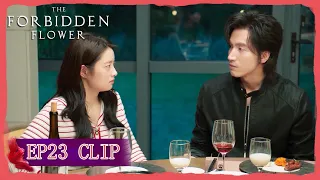 EP23 Clip | Their new meeting is so heartbreaking for her! | The Forbidden Flower | 夏花 | ENG SUB