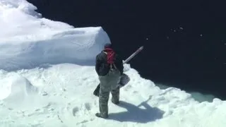 Seals Clubbed To Death For Their Fur