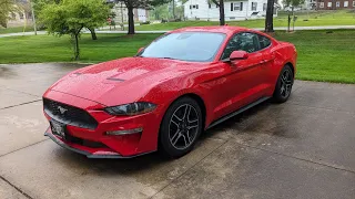 2022 Mustang ecoboost premium 😍 I got my dream car!