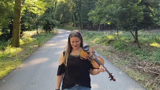 Birds - Imagine Dragons (Violin Cover)