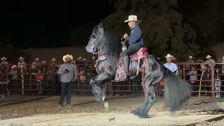 🏆CABALLOS BAILADORES EN LA CIENEGA DE CASAL 2023