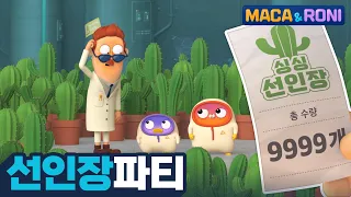 [본편] 선인장 파티 | 마카앤로니 | 재밌고 귀여운 힐링 애니메이션  | Comic Animation