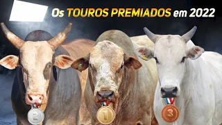 Os TOUROS CAMPEÕES da Temporada 2022