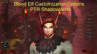 Blood Elf Customization Options - PTR Shadowlands