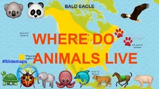 Where Do Animals Live Showed By Maps - Slidemaps