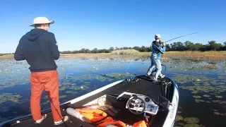 How to fish Late Summer Early Fall for BIG Bass! - Tournament Fishing