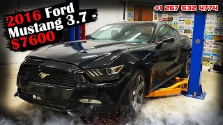 2016 Ford Mustang 3.7 - $7600. Авто из США в   Швецию 🇸🇪 .