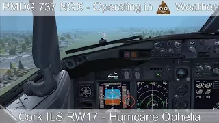 PMDG 737 | Bad Weather Approach | Real 737 Pilot