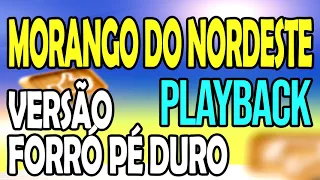 Morango do Nordeste - Lairton/Rey Vaqueiro - Versão Forró Pé Duro - Playback Karaokê