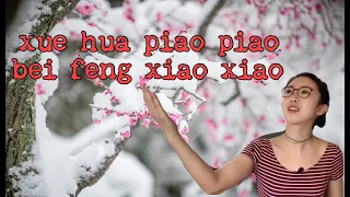 WHAT DOES "XUE HUA PIAO PIAO" MEAN & STORY BEHIND "YI JIAN MEI"