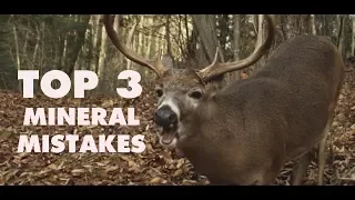 3 Things You're Doing Wrong with Deer Minerals