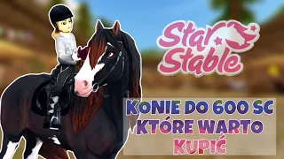 KONIE DO 600 SC KTÓRE WARTO KUPIĆ || SSO