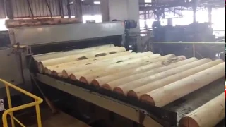 8ft veneer peeling line/ linha de torno laminador en Brasil -- 0086-15963998020