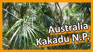 Australia - Northern Territories - Kakadu National Park - Between the Highlights