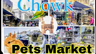Hyderabad Chowk pets Market || Murgi chowk 🥰 #pets#vlog
