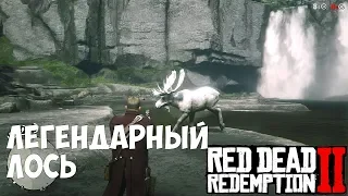 ЛЕГЕНДАРНЫЙ ЛОСЬ # 40 Red Dead Redemption 2