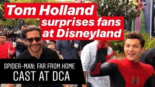 Tom Holland, Spider-Man, surprises fans at Disneyland