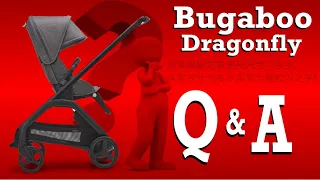 Bugaboo Dragonfly: Your Questions Answered