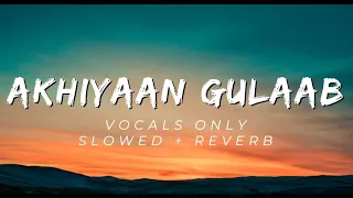 Akhiyaan Gulaab - Vocals Only | Music Removed | Halal Beats