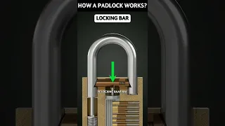 how does work a padlock 🔐. #amazingfacts #factscience #facts #amazing #shorts #science