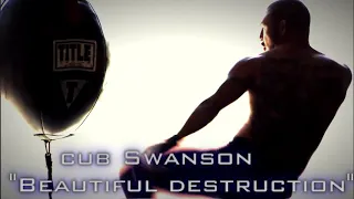 Cub Swanson highlights