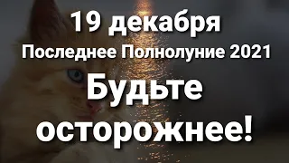 19 декабря последнее Полнолуние года. Что важно знать!