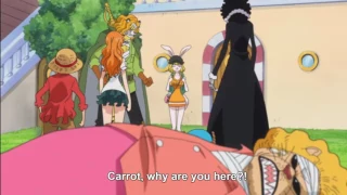 One piece Carrot attack luffy