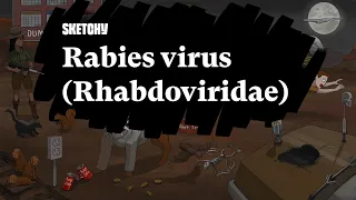 Rabies Virus (Rhabdoviridae): Pathogenesis and Prevention (Part 1) | Sketchy Medical | USMLE Step 1