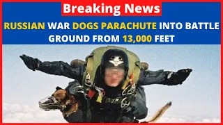 RUSSIAN WAR DOGS PARACHUTE INTO BATTLE GROUND FROM 13,000 FEET - War Dogs