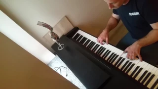 Johnny Hallyday - L'envie- Piano